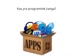 Programinė įranga